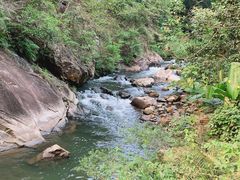 -广州市石门国家森林公园