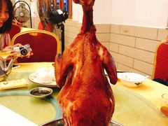 -强记烧鸡(信业悦都汇店)