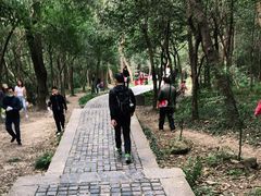 -紫金山山顶公园