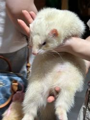-Zoolung Zoolung动物主题公园(海信广场店)