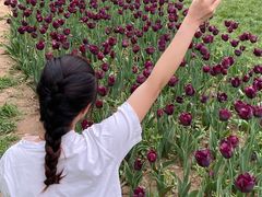 -石家庄市植物园