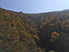 -驼梁风景区
