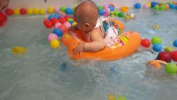 -雏芽婴幼儿游泳·小美医生小儿推拿(西村店)