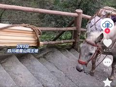 -峨眉山风景名胜区