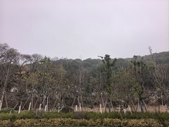 -星巴克(杭州桐庐利时广场店)