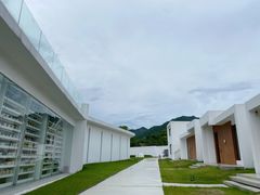 -龙坞茶村