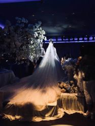 -艾米丽婚纱礼服