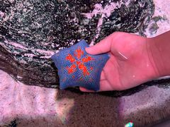 -沈阳海洋探索中心