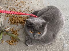 -南方医科大学南方医院(院本部)