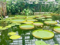 -国家植物园南园