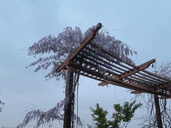 -新贝乐意大利餐厅(苏州中心店)