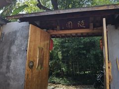 -上海佘山国家森林公园天马山园