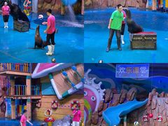 -烟台海昌鲸鲨海洋公园