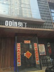 -ODIN 奥丁形象设计 