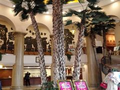 -圣爵菲斯大酒店(长沙世界之窗店)