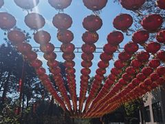 -广州莲花山旅游区