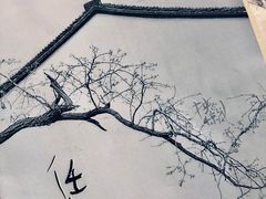 -伽利略剧本探案馆(国贸店)