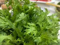 -大连海鲜斑鱼火锅(安平店)