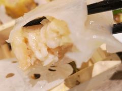 水晶虾饺-茶港·点心·啫啫煲(范湖万达广场店)