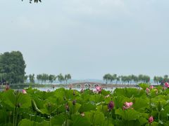 -东湖生态旅游风景区