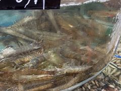 -鑫渔港海鲜本地菜·山海关浑锅(东戴河店)