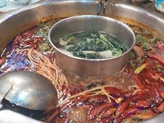 -金鼎雪山牦牛杂火锅(理县总店)