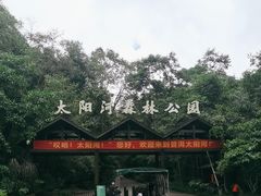 -普洱太阳河森林公园