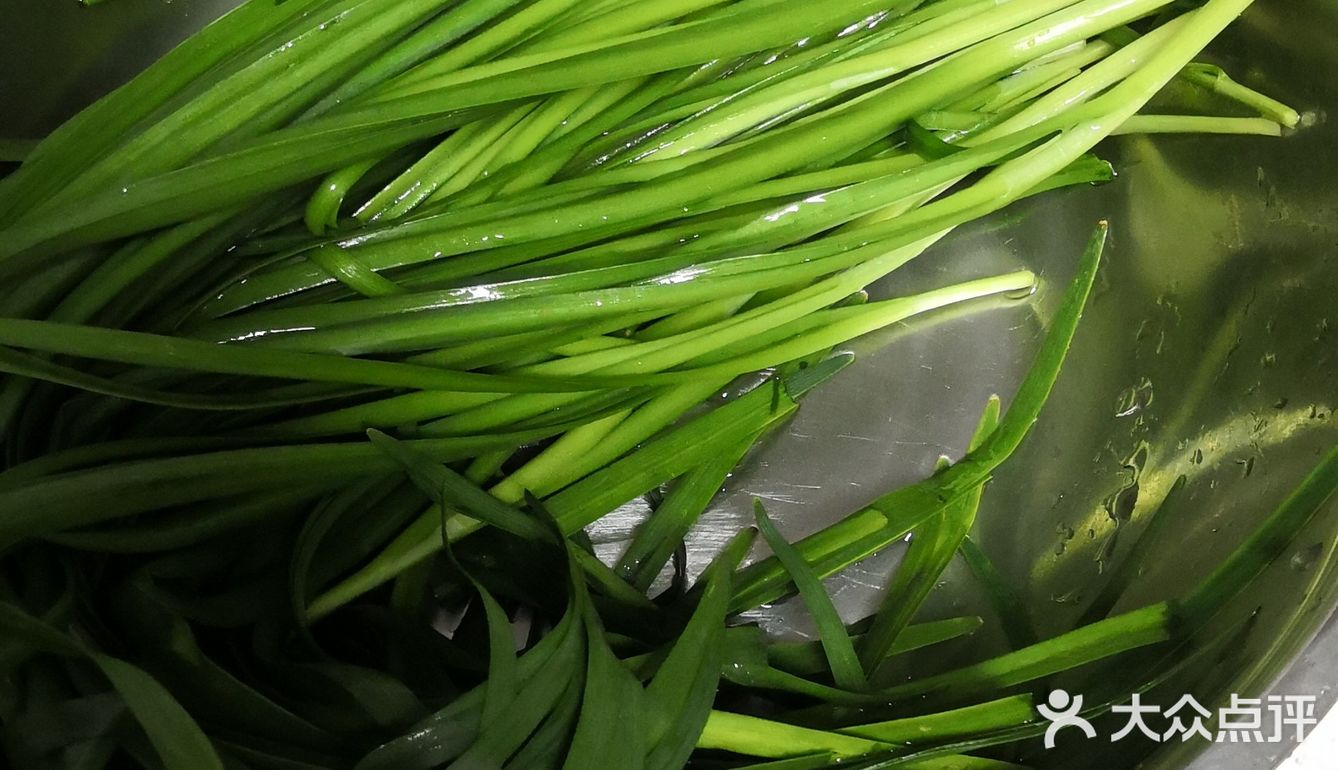甜妈厨房之韭菜鸡蛋海米饺子