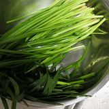 甜妈厨房之韭菜鸡蛋海米饺子