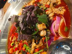 -海岛八号龙虾烧烤田鸡(蓝天路总店)