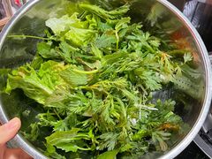 -黔府豆米火锅野菜馆(南马店)