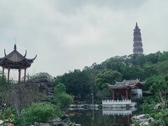 -顺峰山公园
