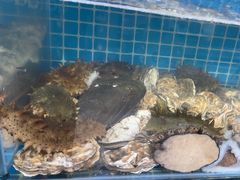 -宾朋海鲜饭庄(兴海路店)