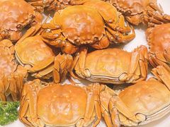 -童福兴·南京菜(老门东店)