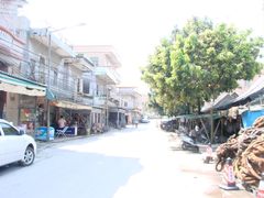 江鸥村大道-海鸥岛