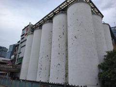 -珠江琶醍