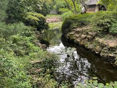 -上海醉白池公园