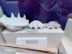 -上海中国航海博物馆