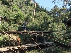 -西双版纳原始森林公园