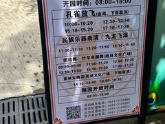 -西双版纳原始森林公园