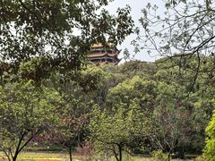 -富乐山