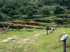 -大姆山草场