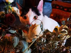 -BUND·FIVE外滩5号(天际店)