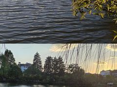 -黑龙潭公园