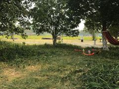 -滆湖低碳生态公园