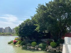 -光明港公园