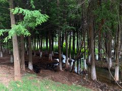 -呈贡滇池生态湿地公园