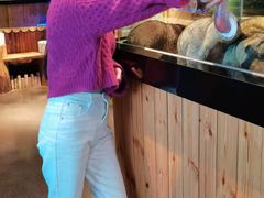 -昆明大悦城未来动物城(螺蛳湾中心店)