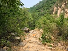 -碓臼峪自然风景区