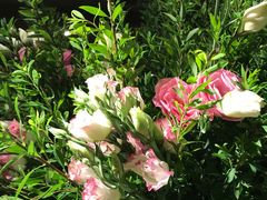 -春暖花开(西溪店)